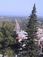 alcanar_mirador.JPG