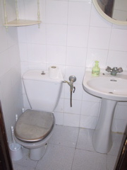 IMG_2126.JPG